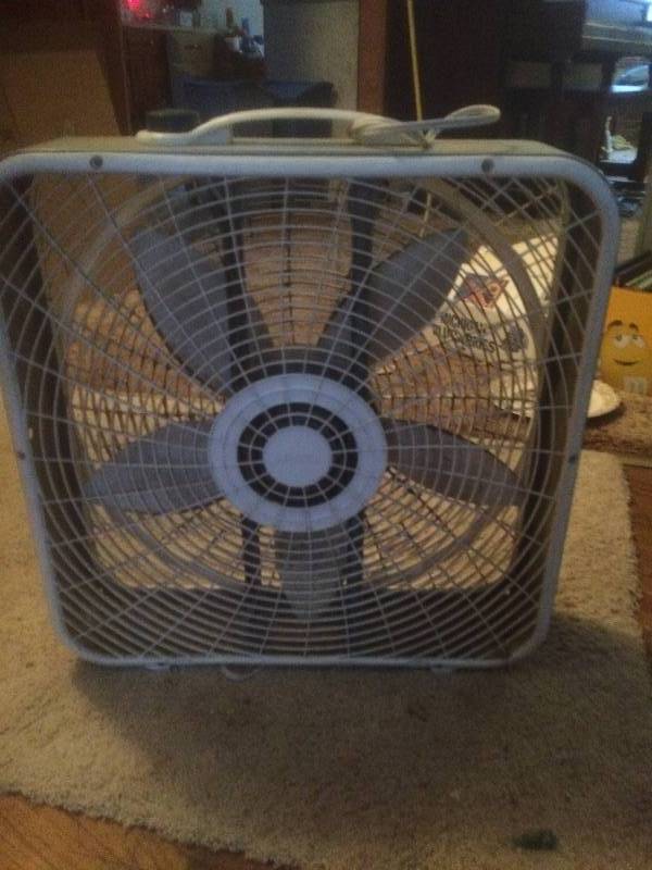 Fan
