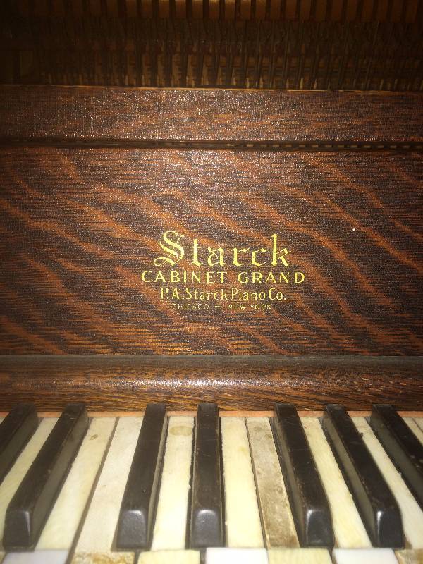 Starck Panio