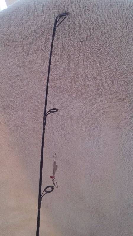 Berkeley ice rod with Shimano reel