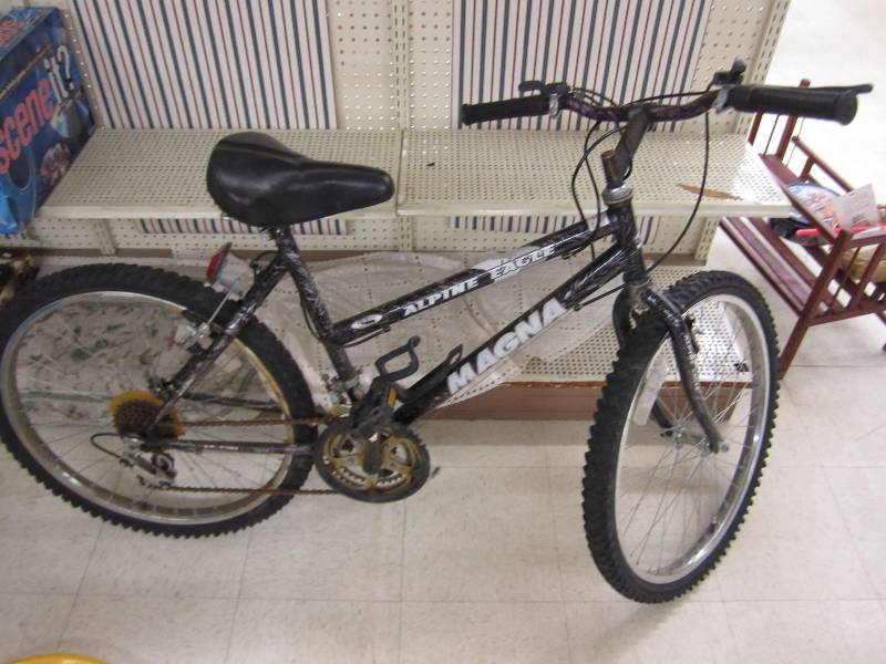 Alpine Eagle mountain bike...