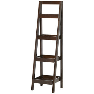 Storage Ladder