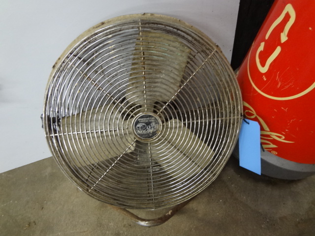 Fan