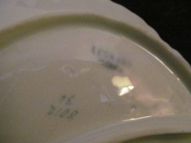 Glass Bone Plate