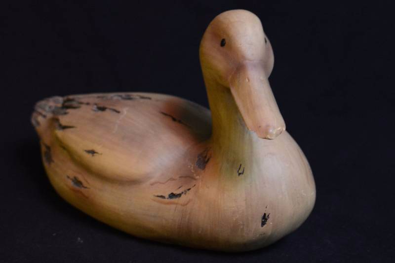 Driftwood Duck