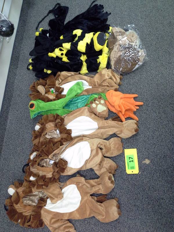 Assortment of Halloween costumes