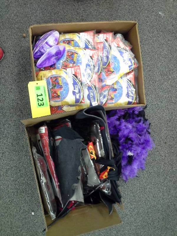 Assortment of Halloween costumes, dog costume, Spiderman arm floatys