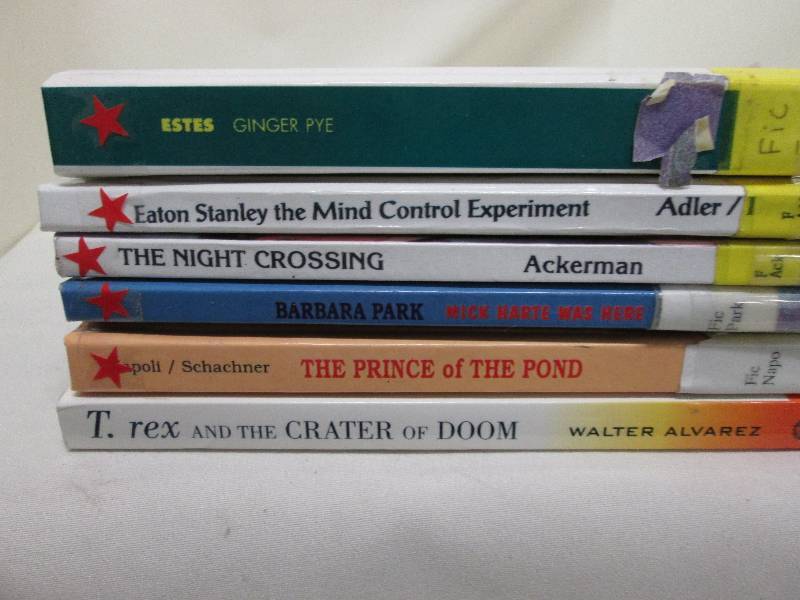 5 young reader hardcover books...