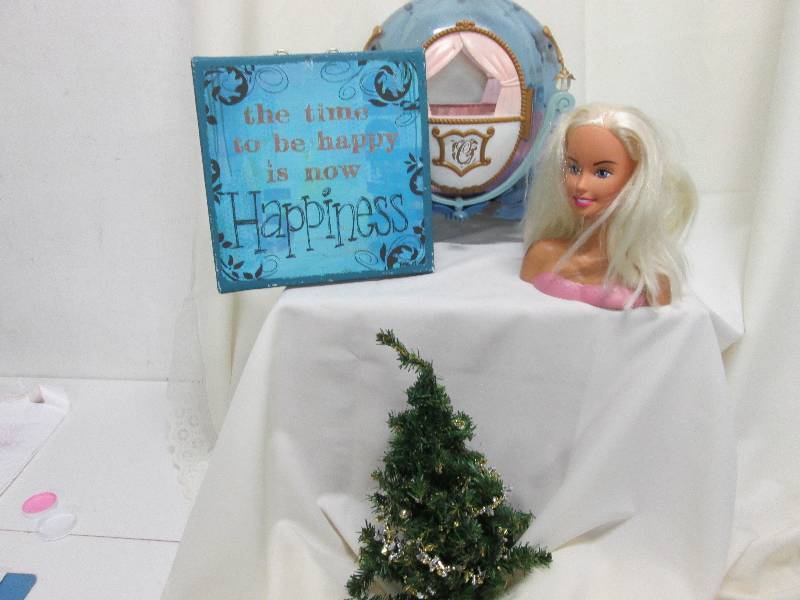 Cinderella Coach, Barbie Hair Styli...