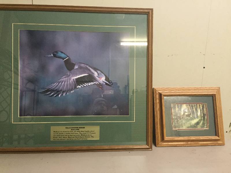 Wildlife Art