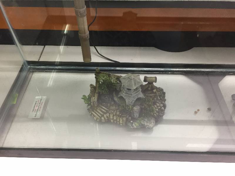 AQUARIUM