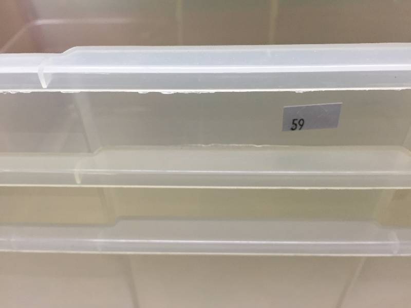 PLASTIC TOTES