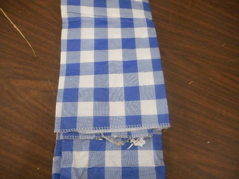 lot 49 image: BLUE CHECKERED TABLE CLOTH