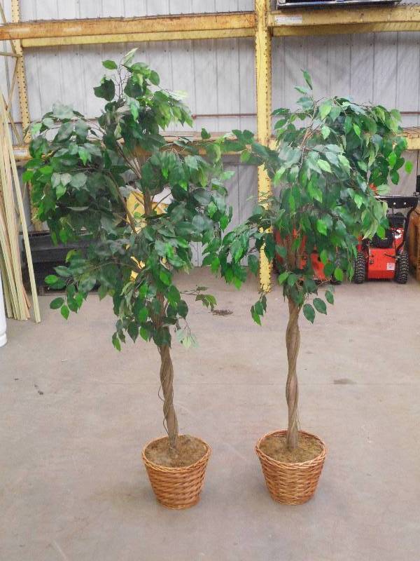 (2) 5ft Artificial Trees, Potted ...