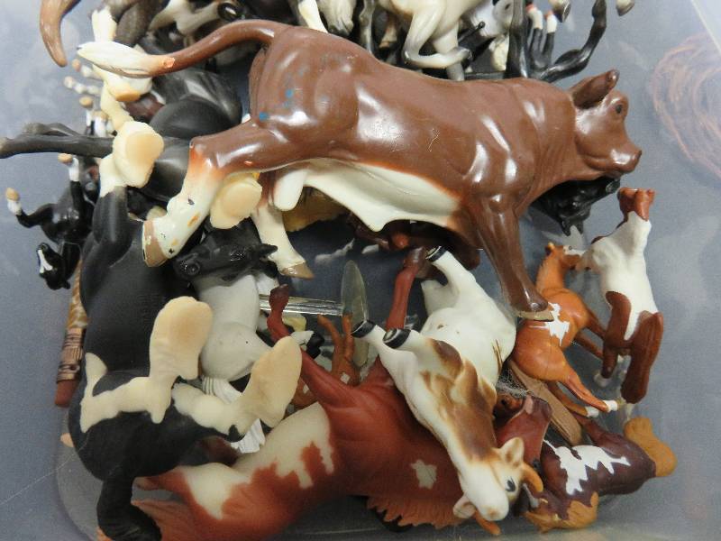 Mini Horses
