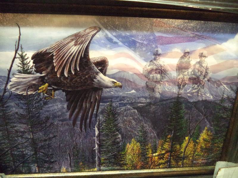 lot 13 image: Freedom Forever