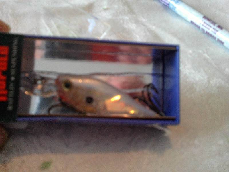 gsr-4 glass shad rap