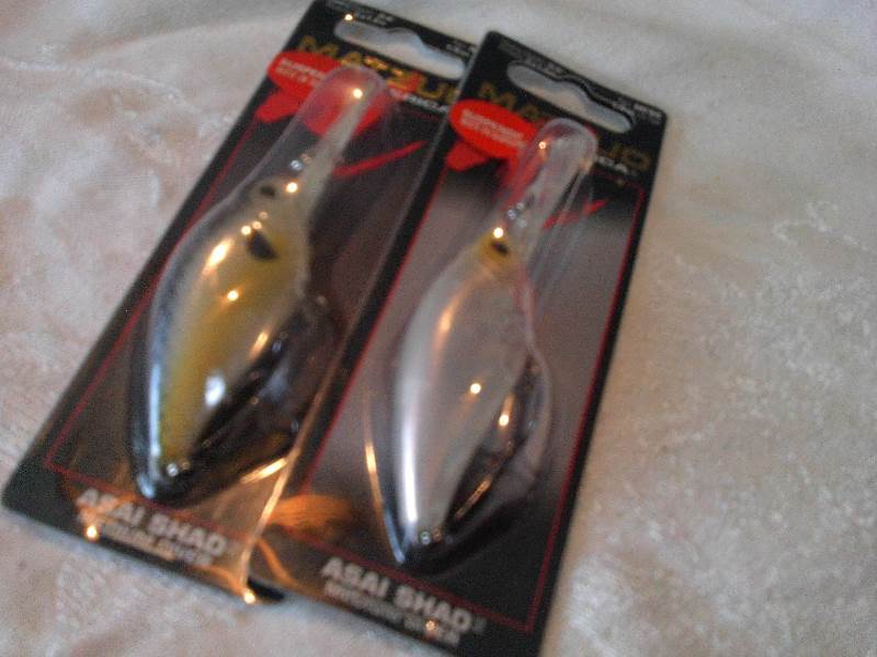 2 matzuo shads