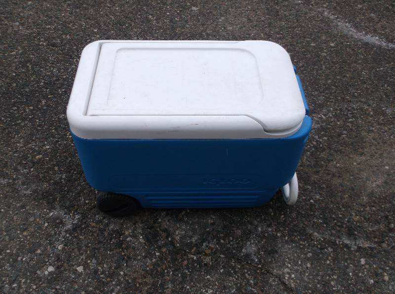 Cooler