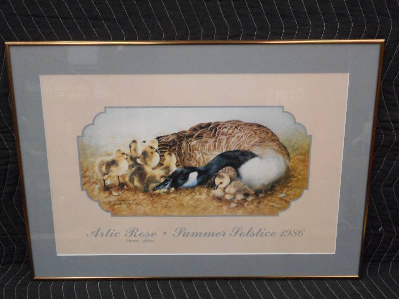 lot 20 image: 1986 Arctic Rose Summer Solstice, L...