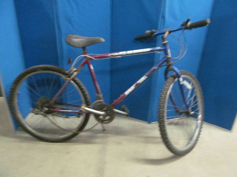 lot 57 image: Road master bike