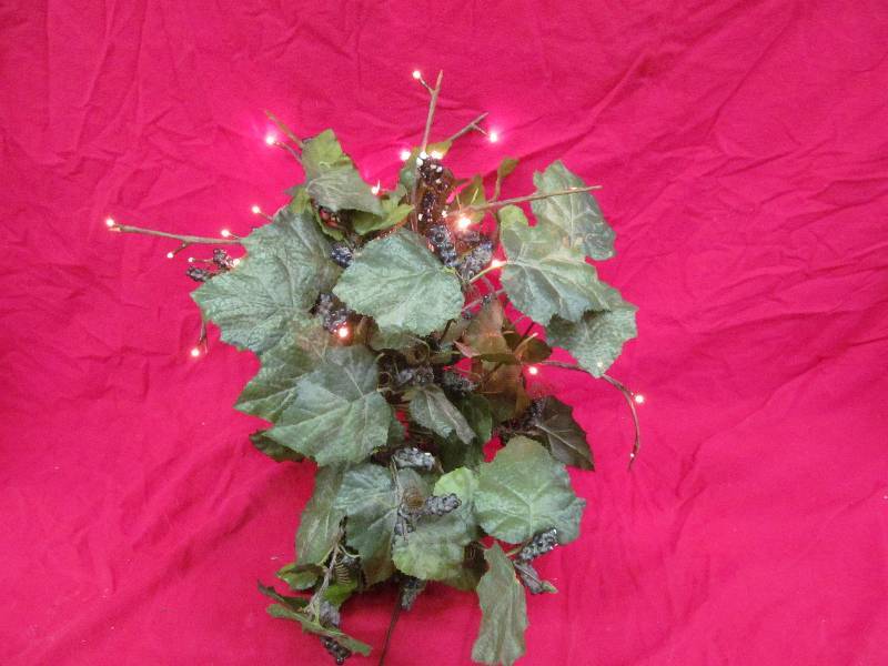 lot 254 image: Decorative Greenery