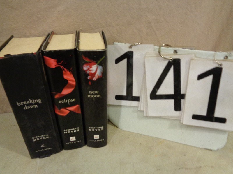 Twilight Series Books