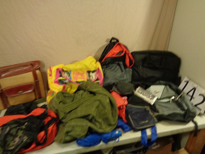 Assorted Bags and Backpacks