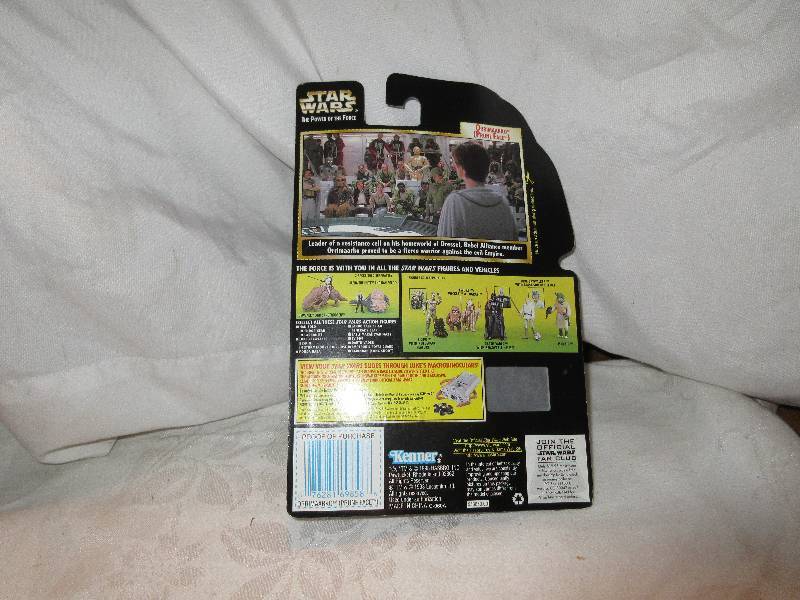 lot 51 image: orrimaarko prune face