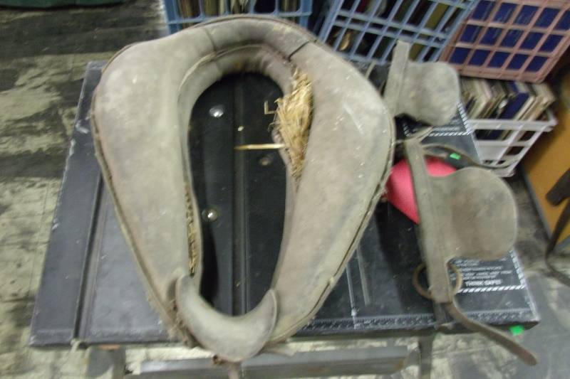 Horse and pony harness all peaces shown