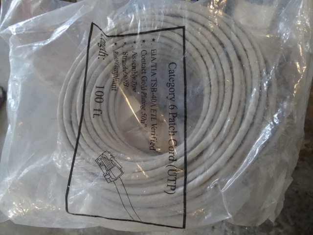 100 ft ethernet cable