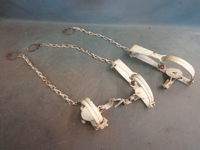 lot 46 image: 3 Hunting Traps