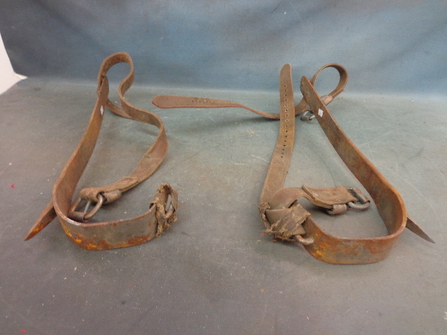 lot 90 image: Pole Climbers