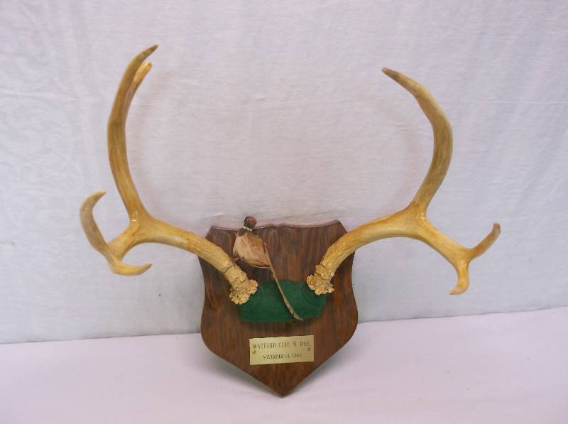 lot 49 image: Deer Rack