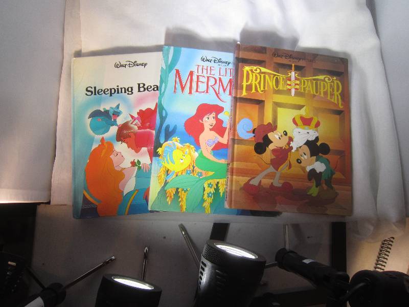 lot 870 image: 3 Disney Books - Sleeping Beauty, Little Mermaid & the Prince and the Palper