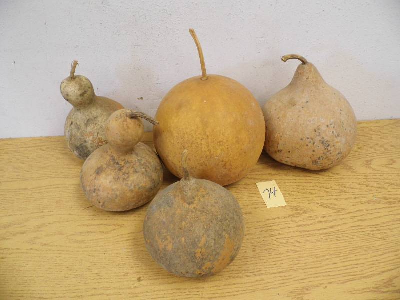 Gourds
