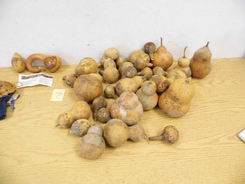 Gourds