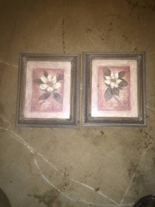 Pair of Pictures