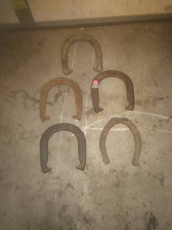 5 Horse Shoe Game Shoes