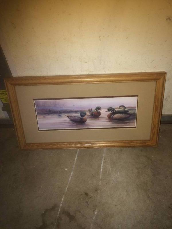 Duck Picture