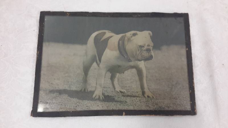 lot 114 image: Old picture