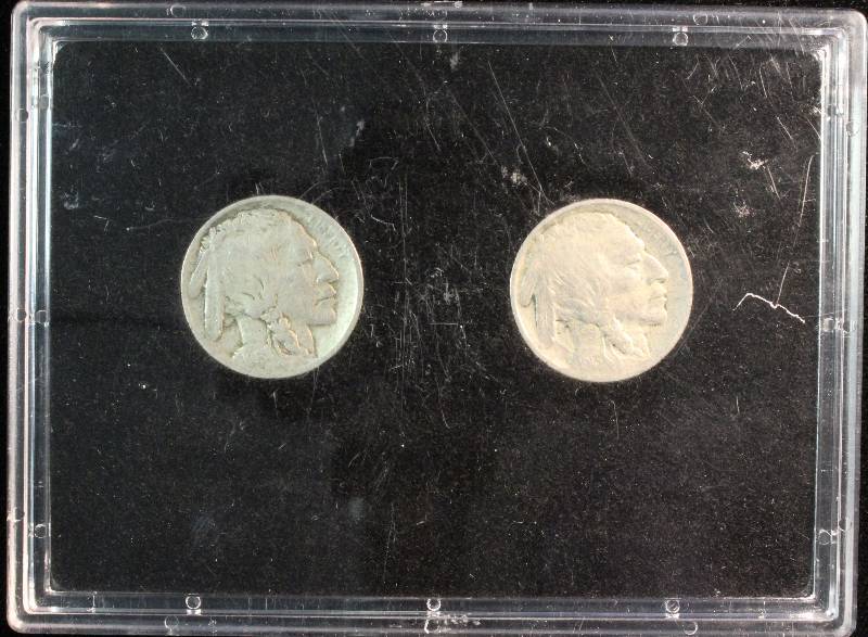1913 TYPE 1 & 1913 TYPE 2 BUFFALO NICKELS IN BLACK PLASTIC CASE