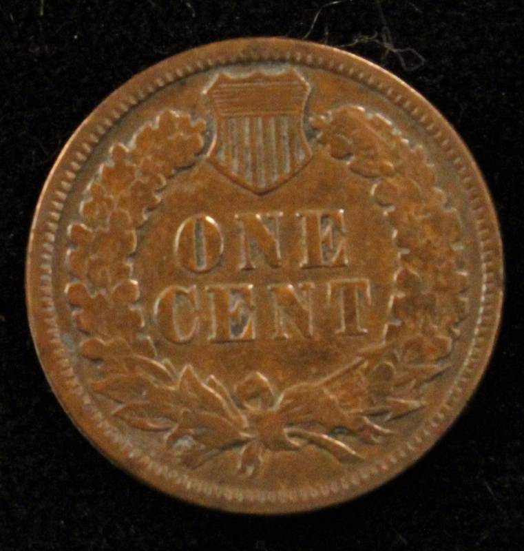 1894 INDIAN HEAD CENT FINE
