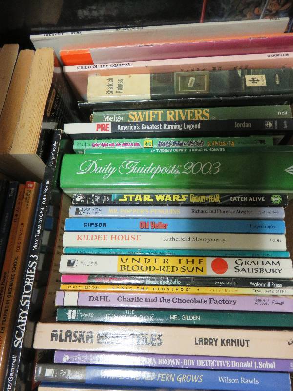 Large Lot of Books