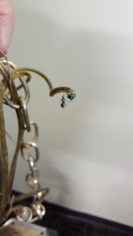 Hanging Chandelier
