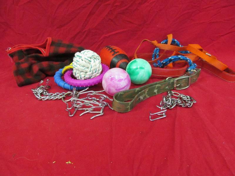 lot 193 image: Dog Items