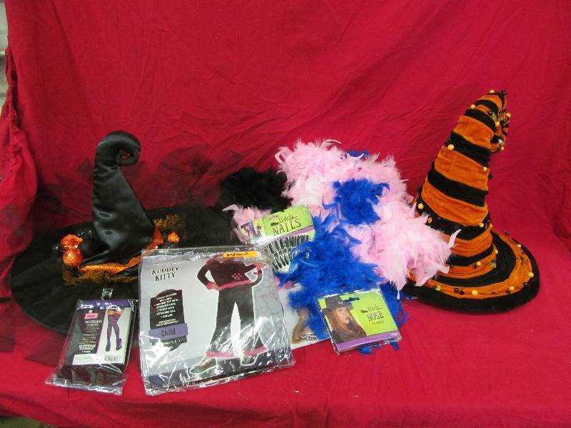 lot 273 image: Costume Accessories