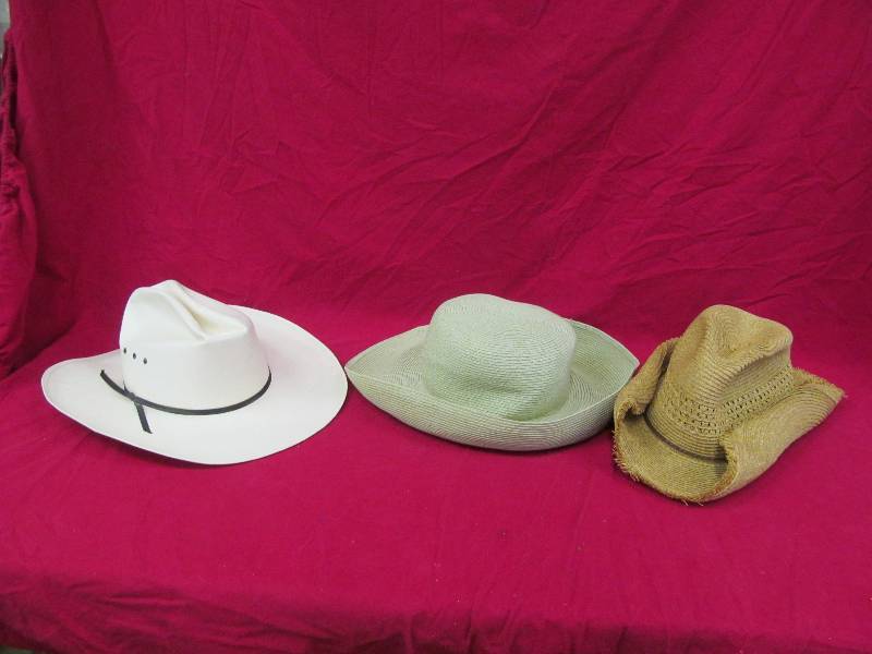lot 309 image: Hats