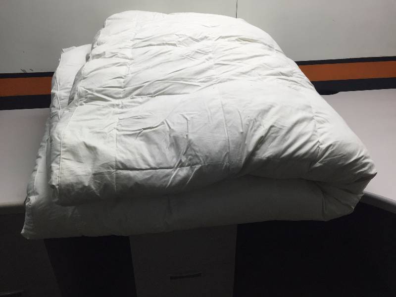 GOOSE DOWN COMFORTER