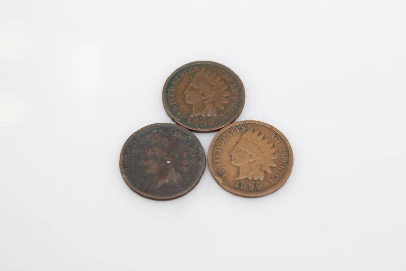 Lot of (3) Indian Head Pennies (1899, 1888, 1891)