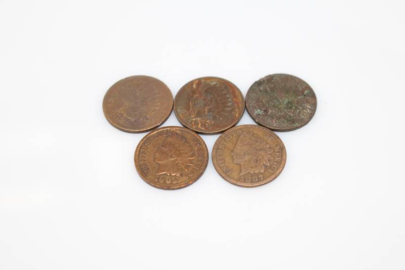 Lot of (5) Indian Head Pennies (1903, 1887, 1900, 1902, 1903)